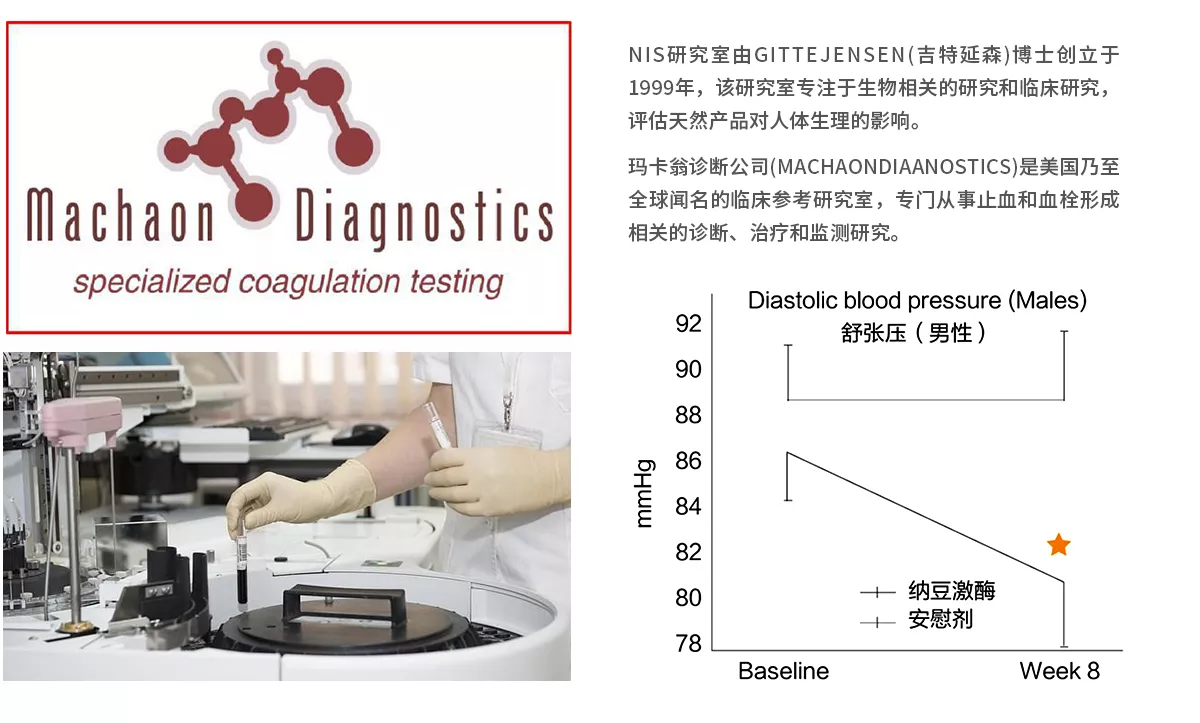 纳豆激酶NSKSD对北美人群降血压临床研究报告