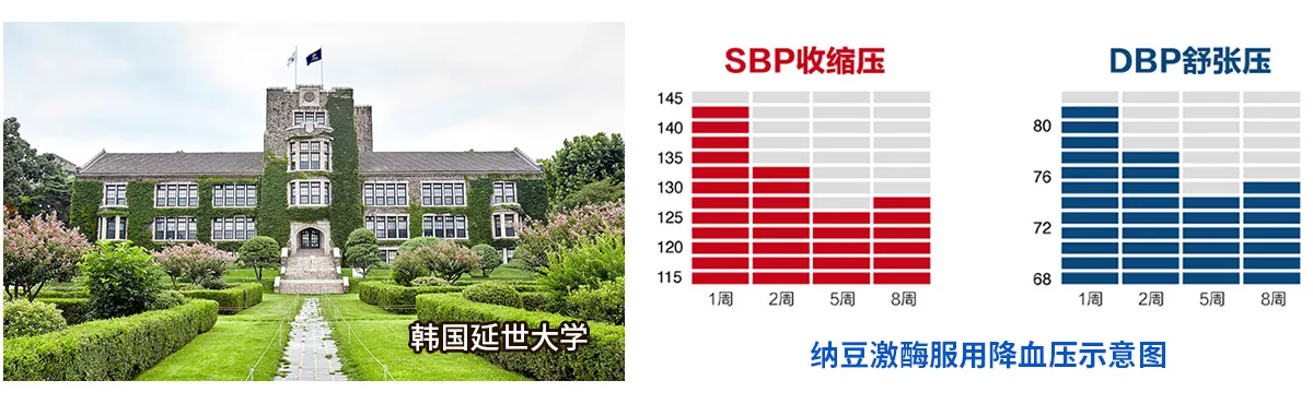 纳豆激酶NSKSD降血压临床研究报告