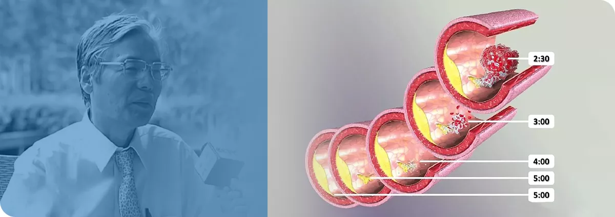 追根朔源辨真伪