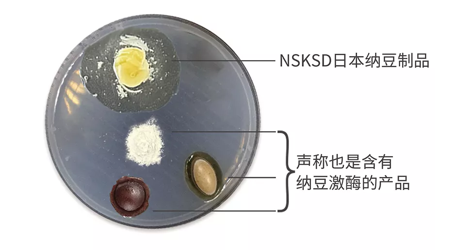 溶栓实验辨真伪